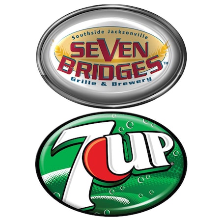 Simba 0.94 x 0.69 in. Oval Vibraprint Lapel Pin, Silver EXPRESS-SP136